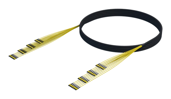 Binne-/buite-MPO-trunksamestelling, 288 vesels, SmartRIBBON™