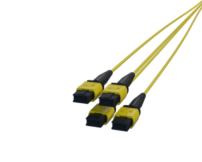 12 Fiber MPO Connectors