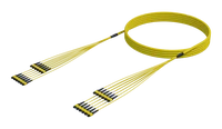 144 Fiber Single Mode MPO(12F) Ganga