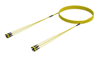 48 Fiber Single Mode MPO(12F) Ganga