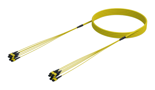 48 Vesel Enkelmodus MPO(12F) Trunk