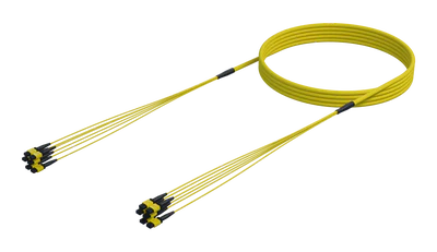 72 Fiber Single Mode MPO(12F) Ganga