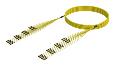 288 Fiber Single Mode MPO(12F) Ganga