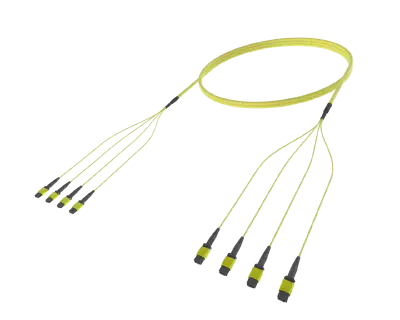 48 Fiber Single Mode MPO(12F) Ganga