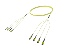 48 Vesel Enkelmodus MPO(12F) Trunk