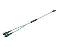 MPO 1:2 Splitterkabel (NVIDIA MFP7E20-ekwivalent)