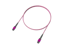 12 Fibre OM4 Multi Mode MPO(12F) Trunk, Erika Violet