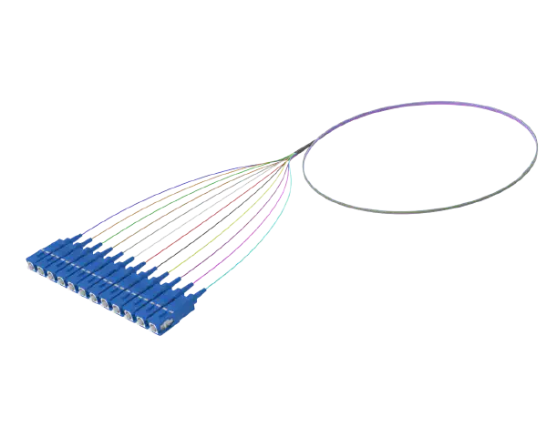 Pigtail optique à ruban flexible, 12 fibres, SC/UPC