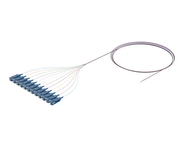 Flexible Ribbon Optical Pigtail, Fiber 12, SC/UPC