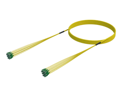 Haɗaɗɗen Kebul na Fiber SC/APC-SC/APC da Aka Riga Aka Sanya wa Mahaɗi, Single-mode G.657.A1, Fiber 12